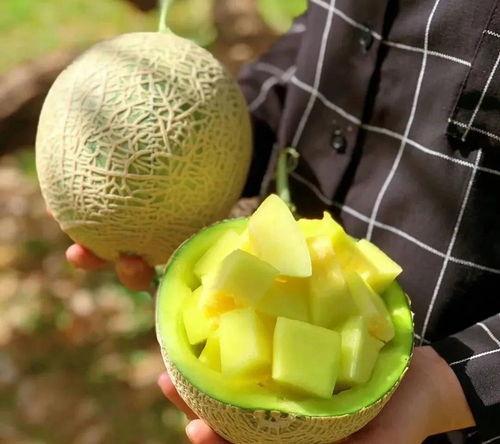 娱乐圈有什么瓜可以吃,揭秘明星幕后故事与精彩瞬间 第2张 娱乐圈有什么瓜可以吃,揭秘明星幕后故事与精彩瞬间 第2张