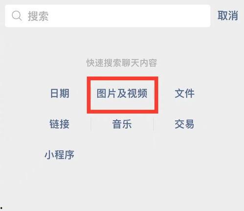 新春爆料最新消息视频播放,新春爆料！最新消息视频播放精彩内容抢先看  第1张