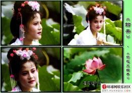 荷花三娘子在线观看,穿越时空的奇幻爱情之旅  第2张