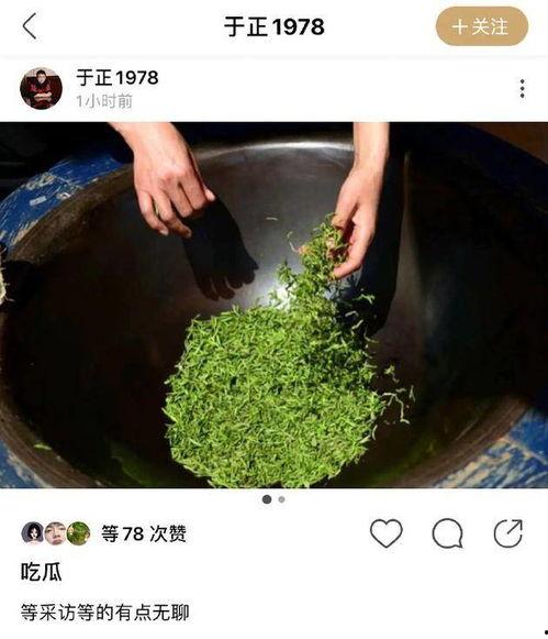 娱乐吃瓜蜀黍海苔咪,揭秘娱乐圈幕后故事 第3张 娱乐吃瓜蜀黍海苔咪,揭秘娱乐圈幕后故事 第3张